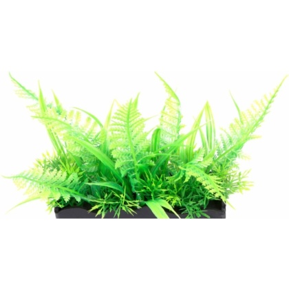 Penn Plax Ostrich Fern Bunch Plant 2