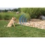 PetSafe Pawz Away Outdoor Pet Barrier